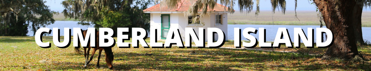 cumberland island banner