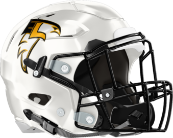 East Laurens Falcons Helmet Right