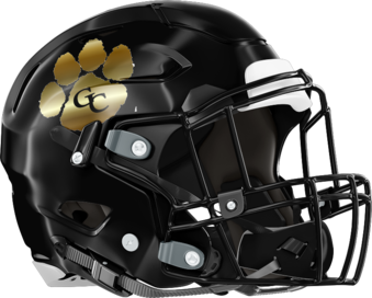 Greene County Tigers Helmet Right