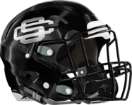 Schley County Wildcats Helmet Right