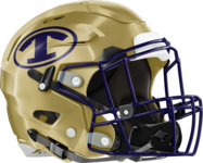 Taylor County Vikings Helmet
