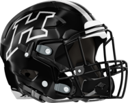 Houston County Bears Helmet