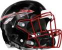 Charlton County Indians Helmet