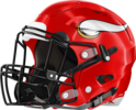 Bacon County Red Raiders Helmet Left