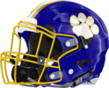 Crisp County Cougars Helmet Left