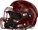 Dooly County Bobcats Helmet Left