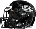 Schley County Wildcats Helmet Left
