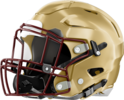 Brookwood Broncos Helmet Left