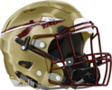 Westside, Macon Seminoles Helmet