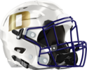 Decatur Bulldogs Helmet