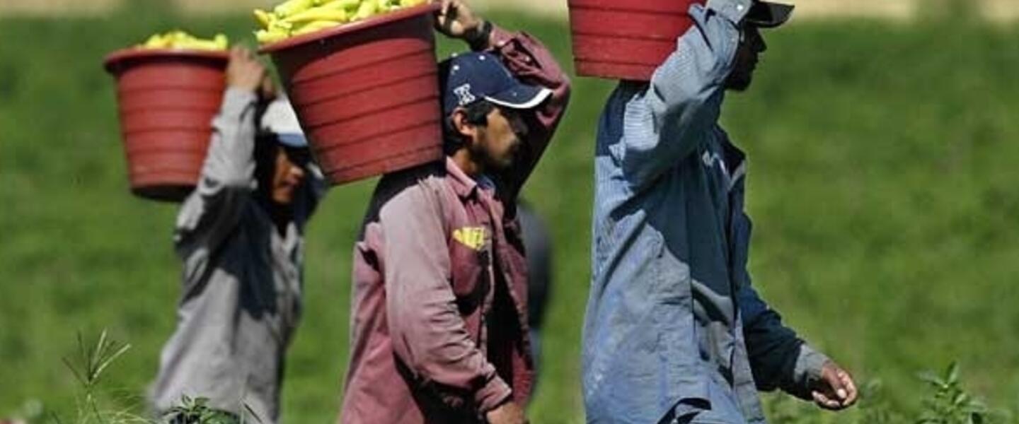 Farm Wages are Increasing Across the U.S. Farm Wages are Increasing Across the U.S.