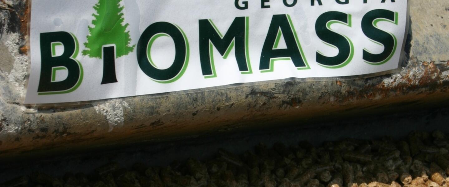 Georgia is a world leader in providing biomass energy products Georgia is a world leader in providing biomass energy products