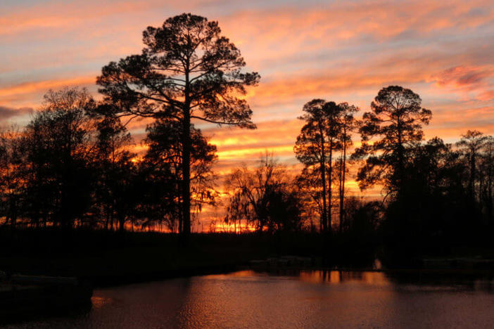 Okefenokee swamp at sunset