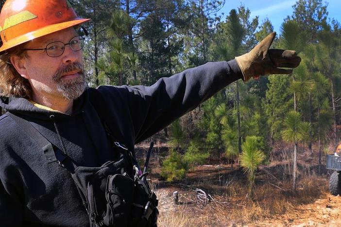 Nathan Klaus, Senior Wildlife Biologist for the Georgia DNR explaining the important of starting the burn on the perimeter. The native long-leaf pine, behind Klaus, is thriving at Sand Hill Wildlife Management Area and protected through fire. Kala Hunter khunter@ledger-enquirer.com  