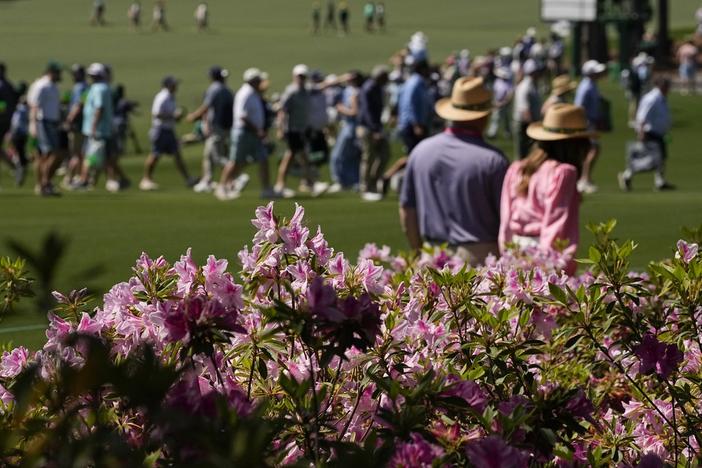 Patrons walk past Azalea's during a practice round in preparation for the Masters golf tournament at Augusta National Golf Club Monday, April 8, 2024, in Augusta, Ga. 