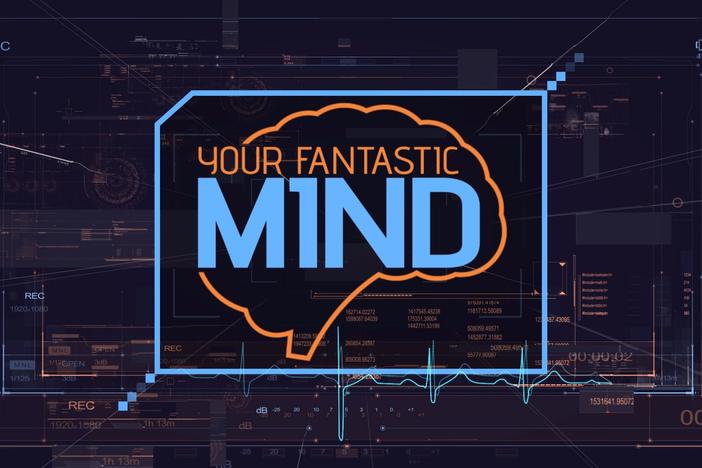 This is a show exploring the mystery and the science of the amazing human brain.