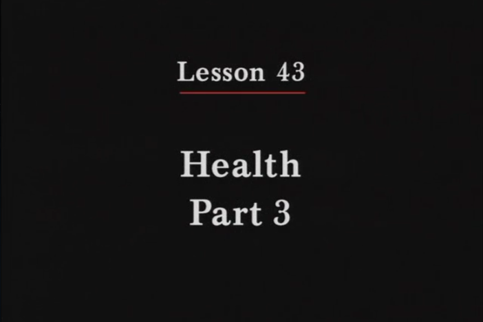 JPN II, Lesson 43. The topic covered is health: describing more physical conditions.
