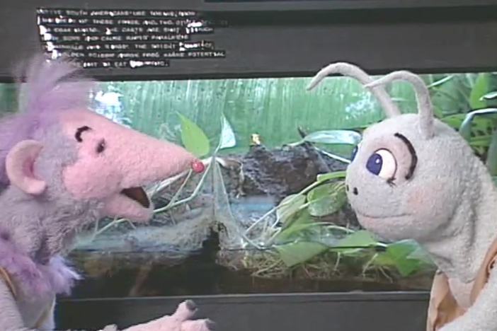 Blossom and Snappy visit the zoo and compare the animals in many different ways. 