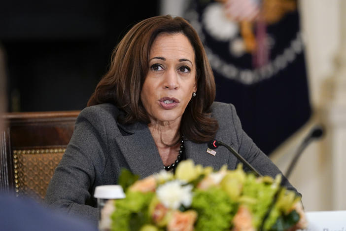Vice President Harris speaks during a reproductive rights task force meeting at the White House. It was the second time the task force has met since the Supreme Court overturned Roe v. Wade in June.