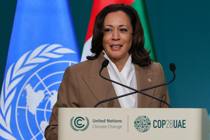 Vice President Harris speaks to leaders at the United Nations climate summit in Dubai on Dec. 2, 2023.
