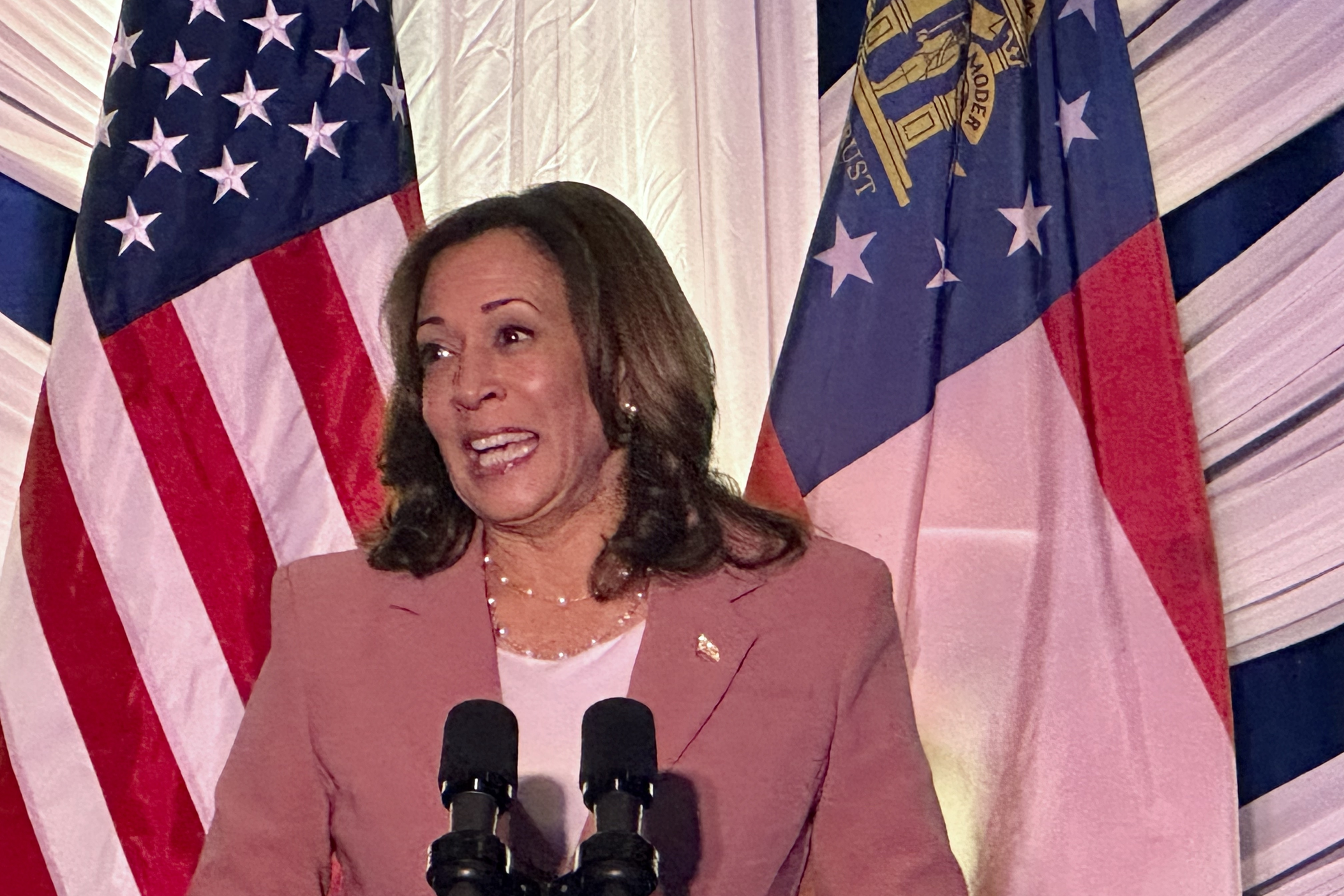 Vice President Kamala Harris speaks at Flourish in Atlanta as part of a fundraising visit to the city on May 12, 2023. 
