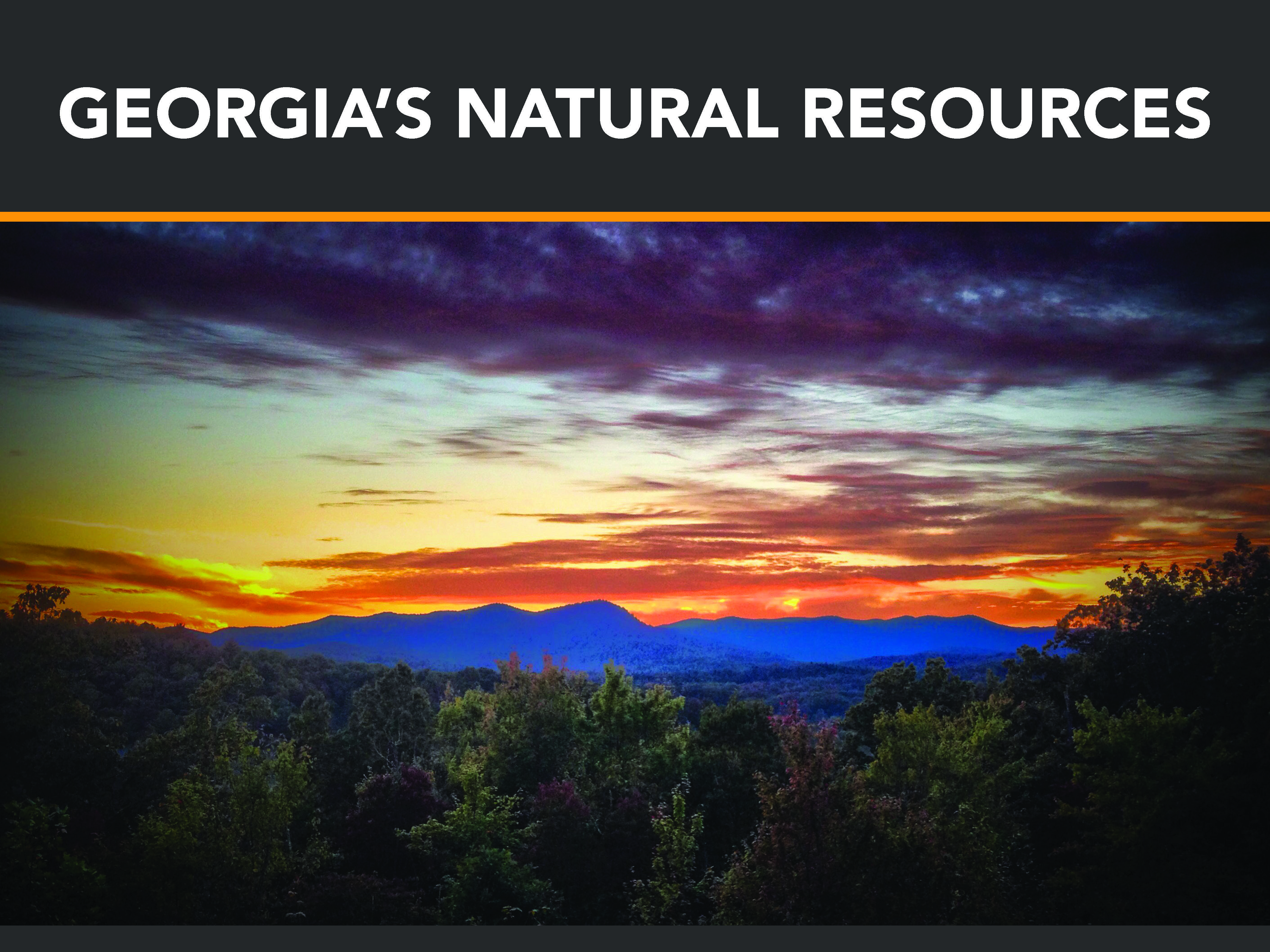 Georgia's natural resources banner