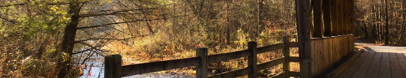 wooden bridge