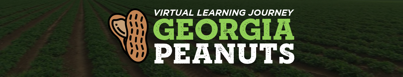 VLJ Georgia Peanuts banner image