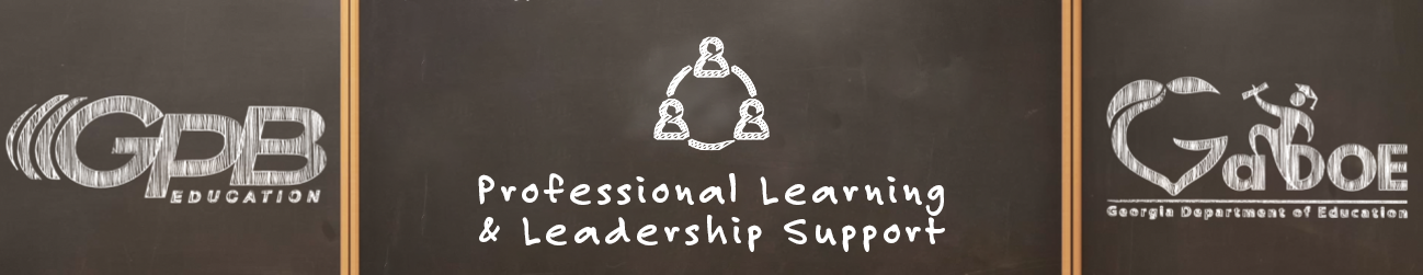 professional learning and leadership support