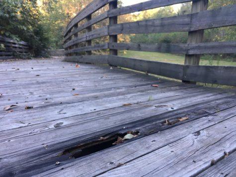 Part of the 7-year-old boardwalk has rotted at Riverside Cemetery but will be repaired while the new pedestrian bridge is built over the Vineville Branch. 