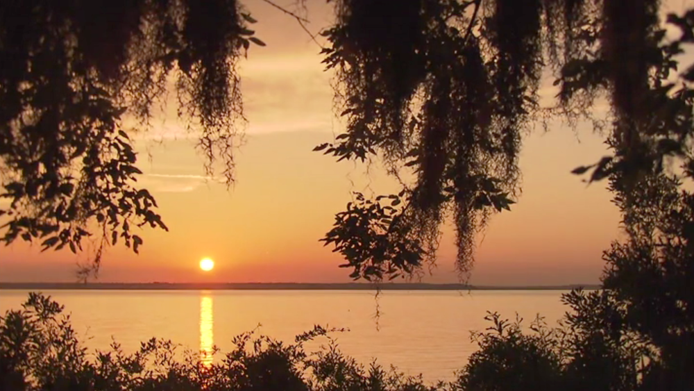 Georgia Outdoors Sapelo Island