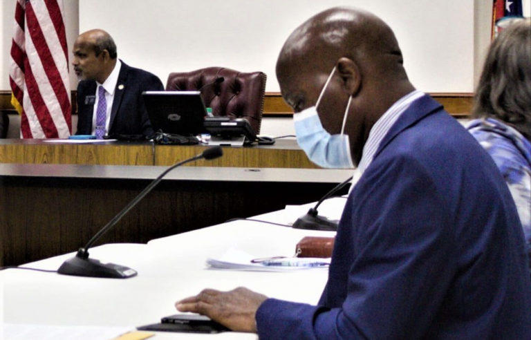 Zipangani Vokhiwa, a professor of science at Mercer University, (right) testifies before the Senate Outdoor Learning Study Committee chaired by Sen. Sheikh Rahman, a Democrat from Lawrenceville (left).