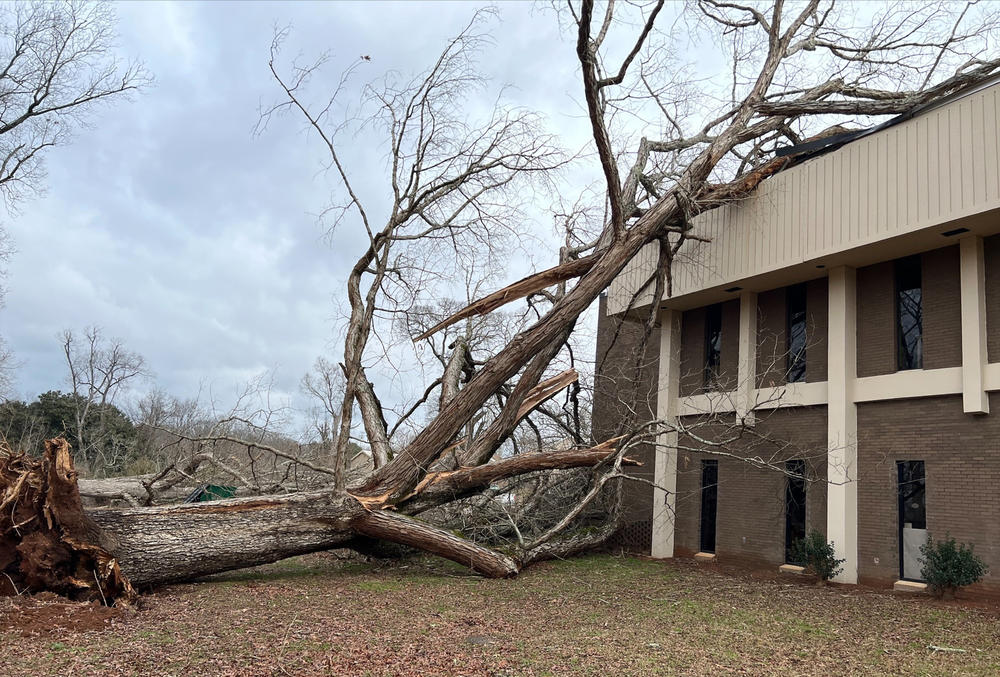 A tree is shown fallen onto a two-story building.