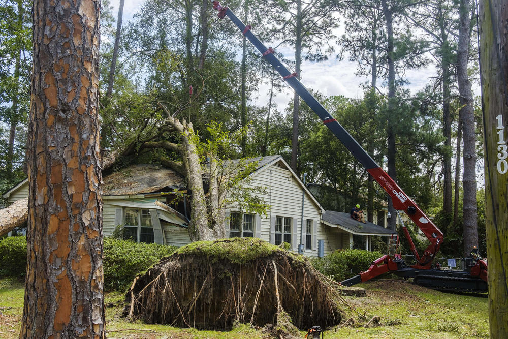 In Valdosta Idalia Left Trees In People S Houses Getting Them Out Can    Dsf6845a 