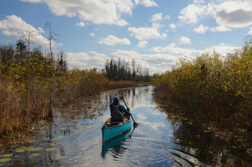 Okefenokee Swamp Refuge Will Be Nominated For High-profile World ...