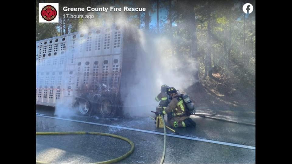 Multiple cows were killed after a livestock trailer caught fire on Interstate 20 east in Greene County, Georgia, state troopers say. 