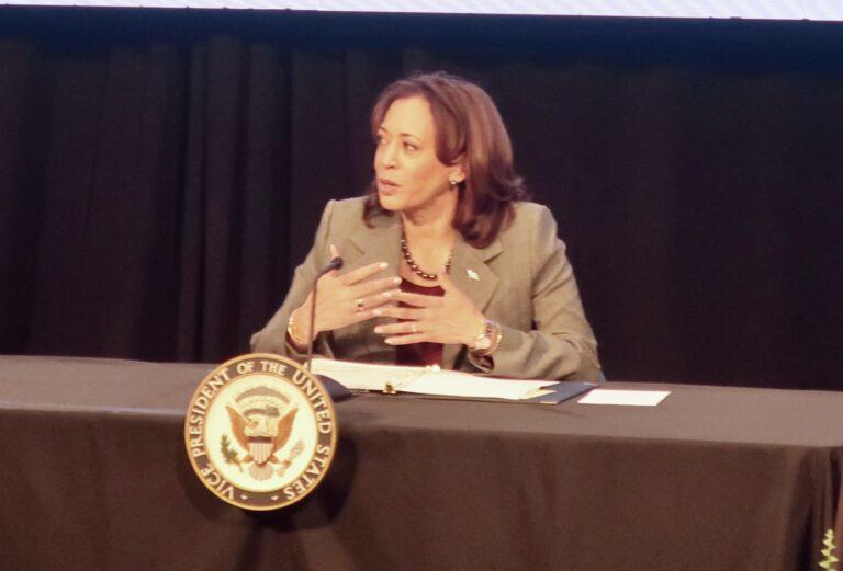 VP Kamala Harris Calls Georgia Ground Zero For Voting Rights In 2024   Img 1016 768x521 