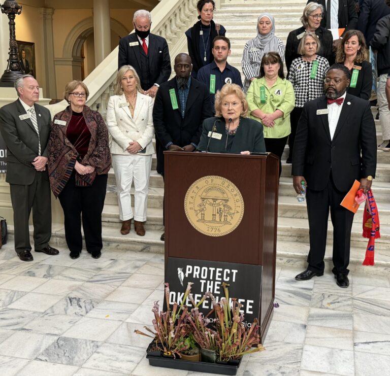 Thomasville Republican Rep. Darlene Taylor is the bill’s lead sponsor. Here she is at a press conference held last week. Jill Nolin/Georgia Recorder
