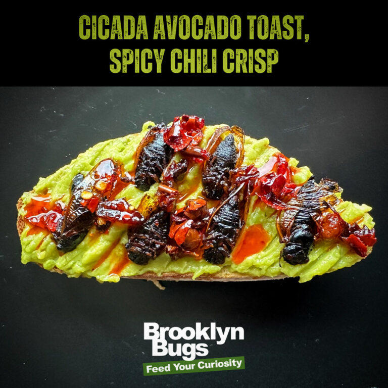 Cicada Avocado Toast, a dish by Brooklyn Bugs in New York City.