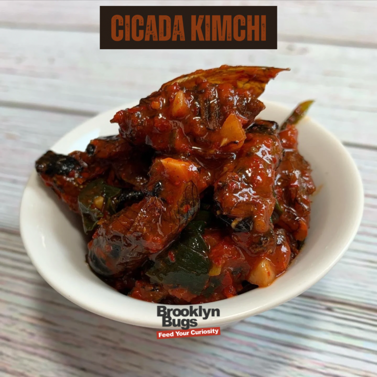 Cicada Kimchi, a dish by Brooklyn Bugs.