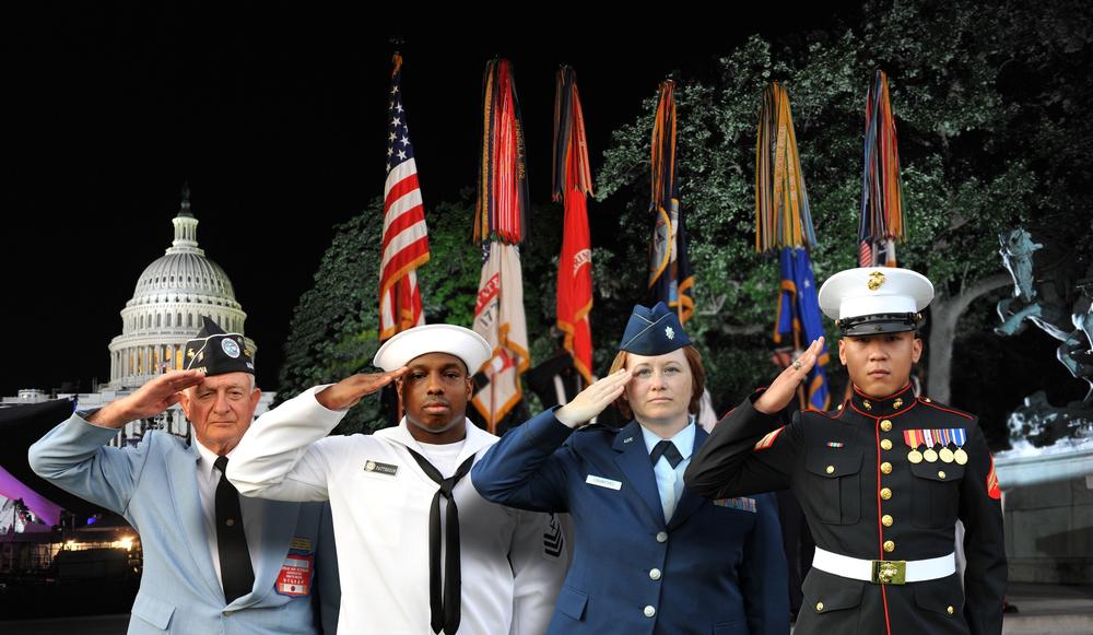 Members of the US military of various sexes, ages and races saluting.