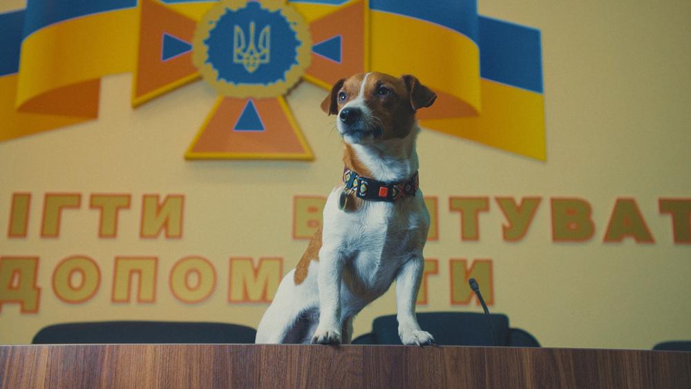 A little dog poses in front of the coat of arms of Ukraine.