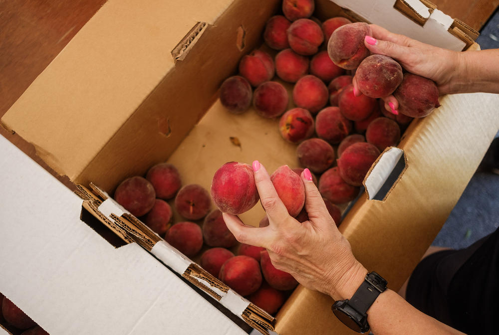 Peaches, headed from bulk packing to a mixed box of other fruits and vegetables. 