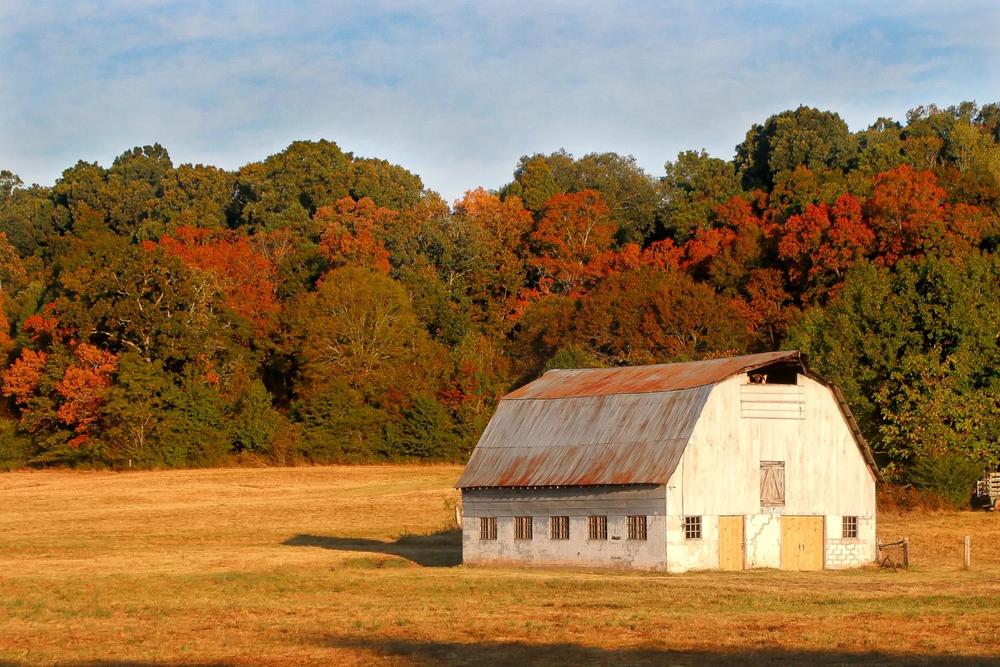 Vaughters’ Barn in Panola Mountain State Park, which can be seen in the television show “The Outsider.” (Photo courtesy Pineapple Public Relations).