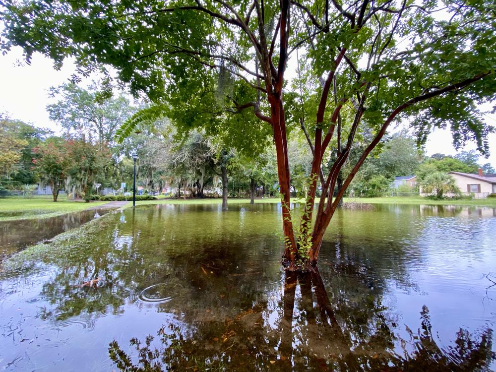 A park in Savannah's Bingville neighborhood sits flooded on Aug. 7, 2024, from Tropical Storm Debby.