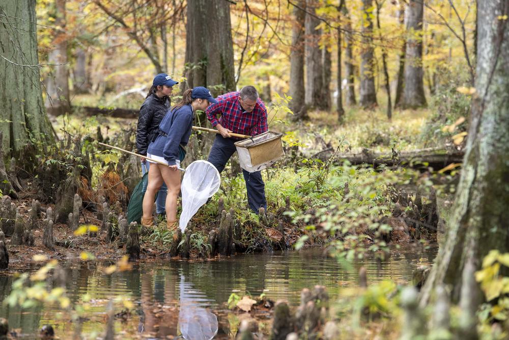 Biology students Peyton Reed, left, and Callista (Calleigh) Reber, collect aquatic matter with Biology Professor David Bruce Conn, right, during an entomology lab. October 26, 2022. (Brant Sanderlin/ Berry College)