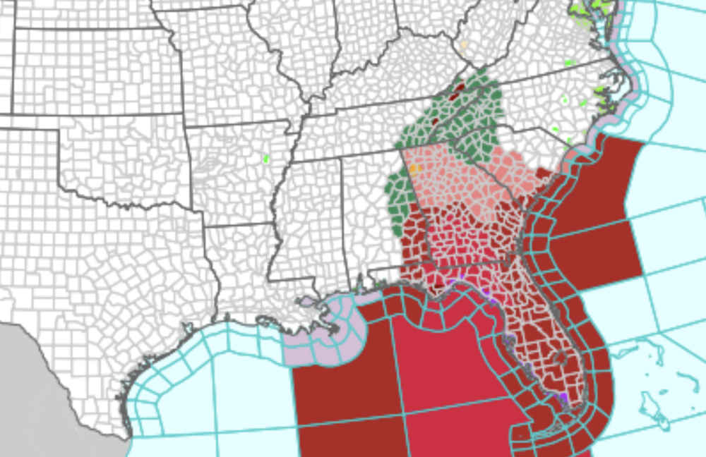 The entire state of Georgia is covered in storm watches and warnings. Visit Weather.gov to see your local forecast. 