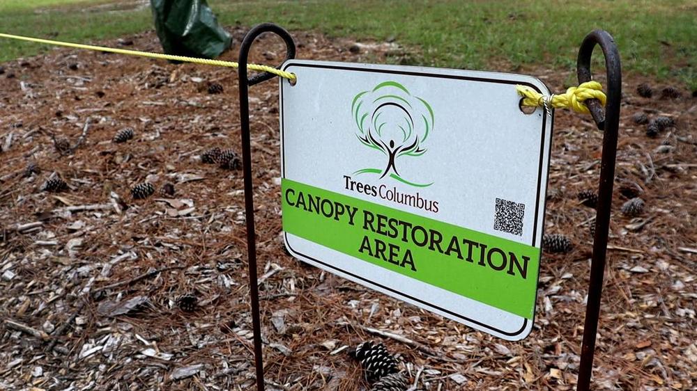 Trees Columbus lined the pathway at Carver Park with signs to keep disturbanes away while the area undergoes restoration. August 2024. Kala Hunter/Ledger-Enquirer