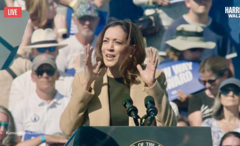 Vice President Kamala Harris described the Sept. 4,2024, deadly shooting at Barrow County’s Apalachee High School as a ‘senseless tragedy’ during a campaign stop in New Hampshire. Screenshot/ Kamala Harris YouTube Channel