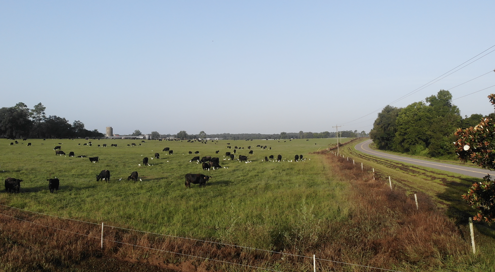 Grady Ranch Farms